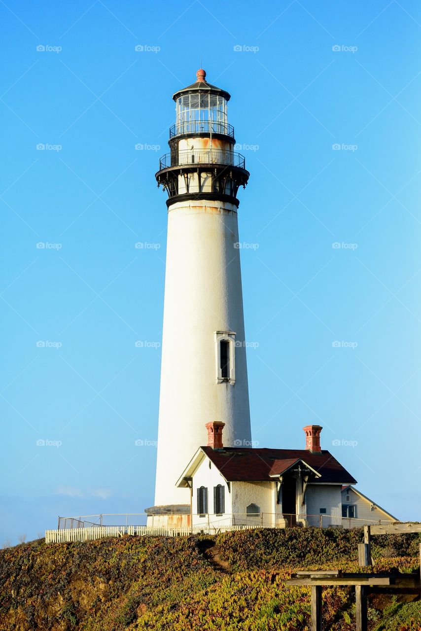 Pigeon Point Lighthouse 