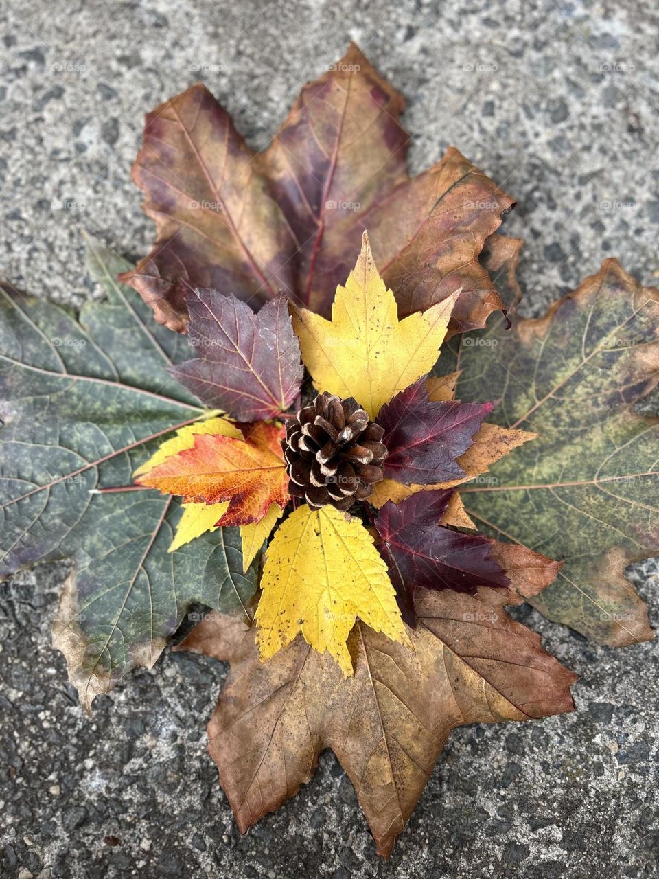 Fall morning altar 