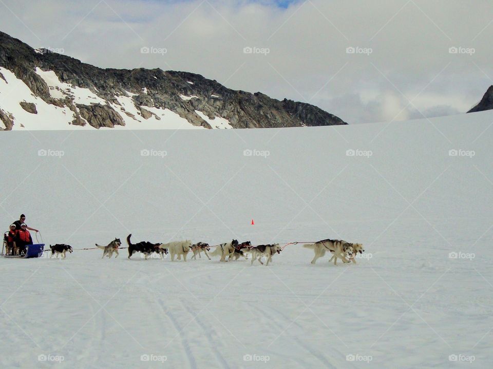 The dogs are so excited to pull there is no need for a Mush command.