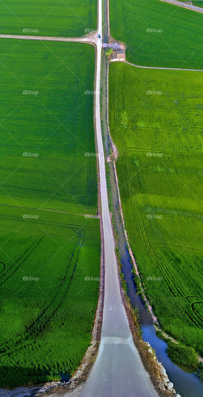 Rice fields in Valencia, Spain. Flat Land effect. Aerial view