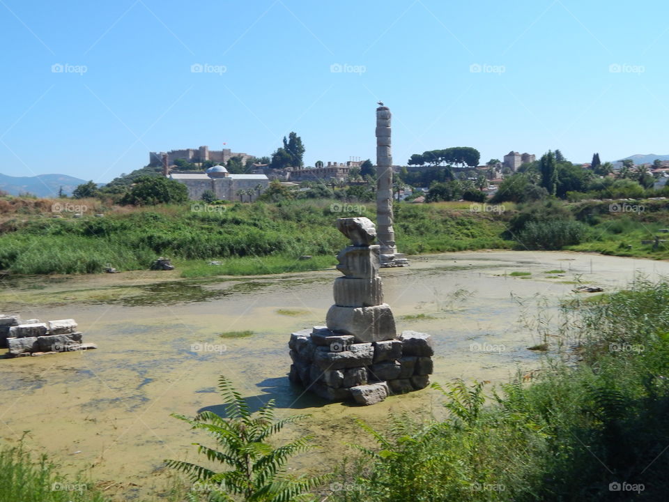 One of the last columns of the temple of Artemis 