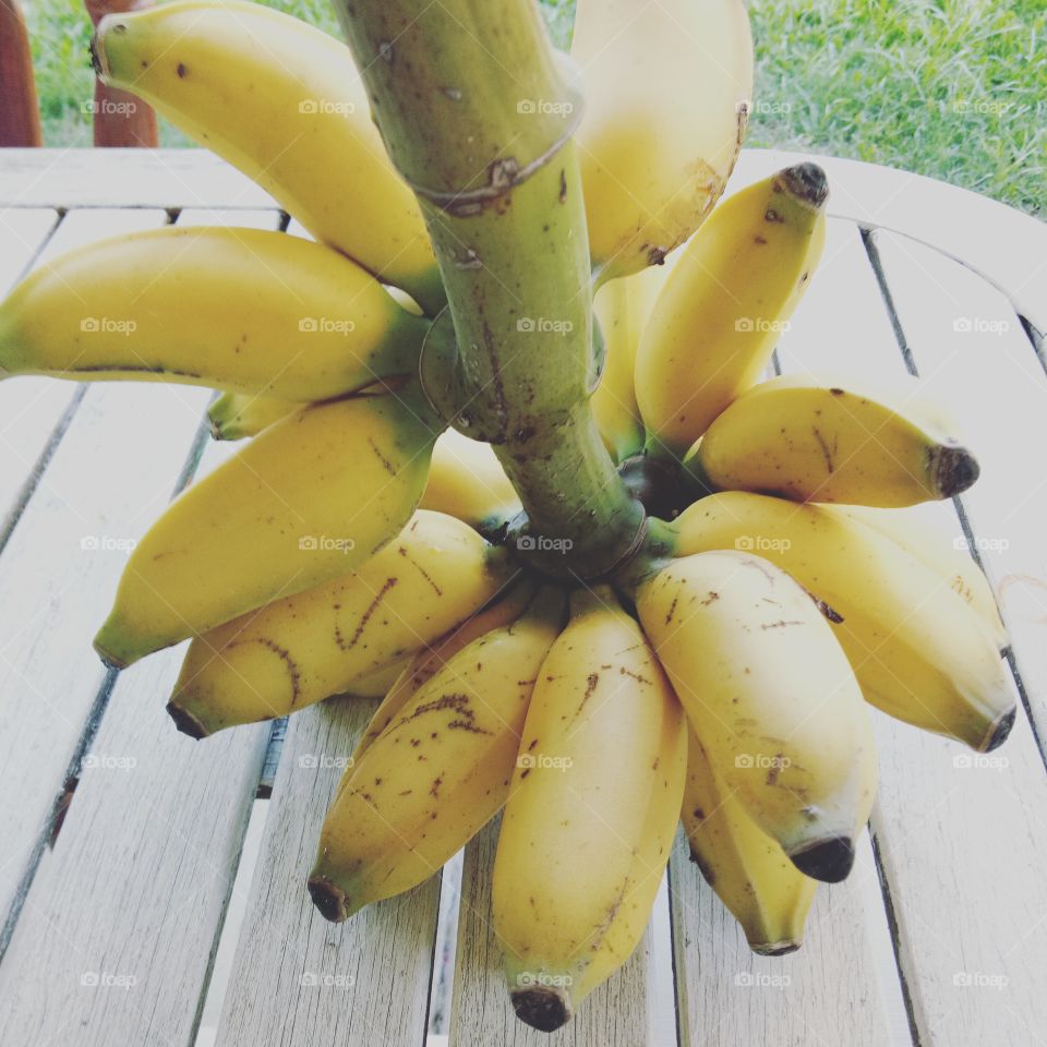 organic lady finger bananas