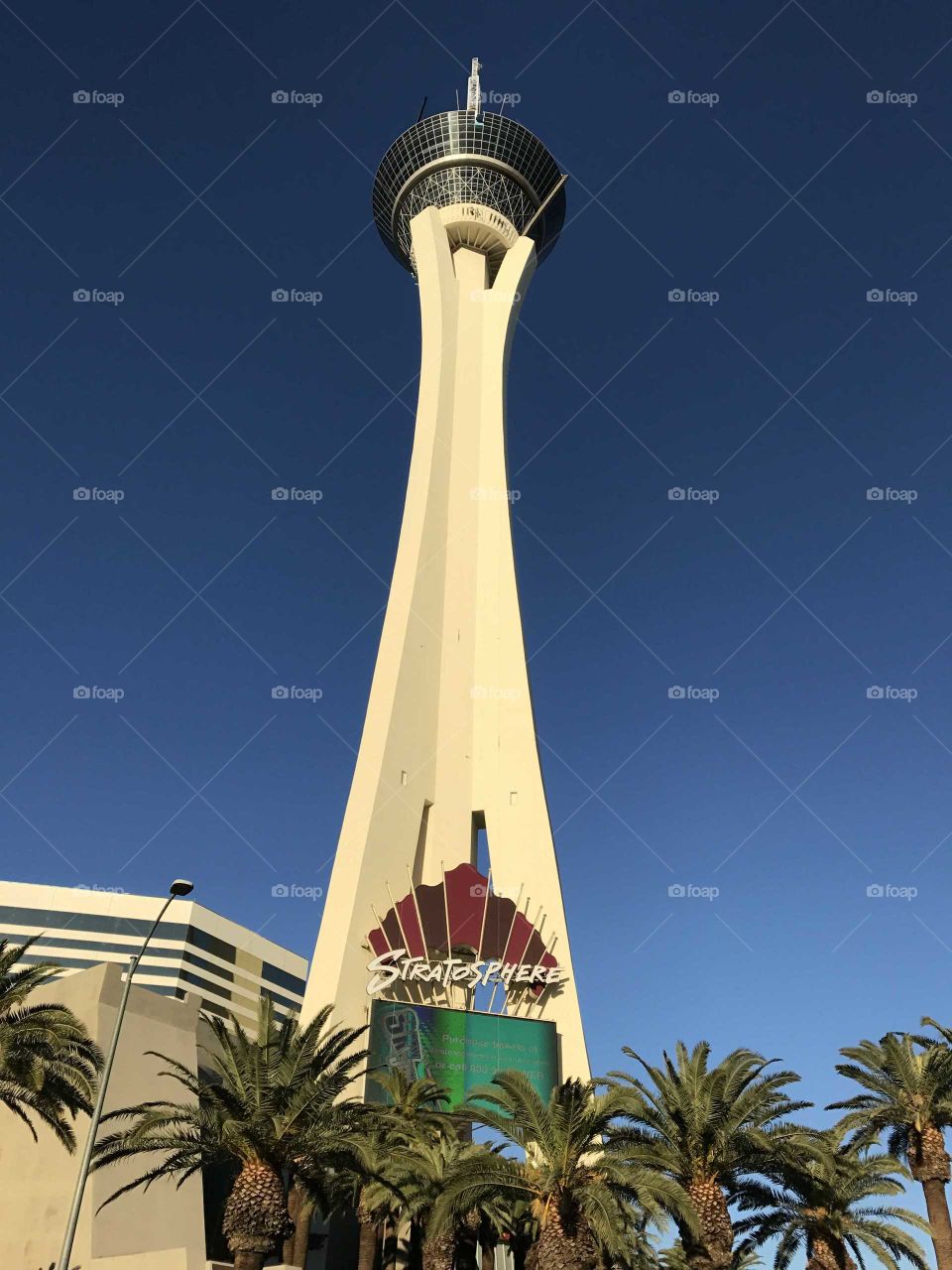 Vegas