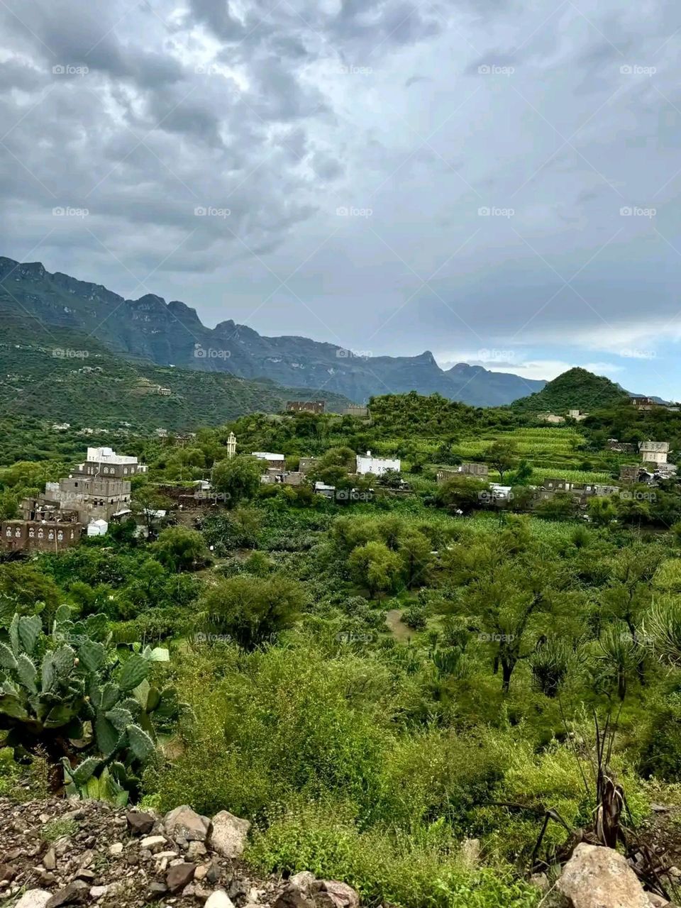 Glory be to God, the magnificent and picturesque view and the natural green trees are a view that is nothing more wonderful than it