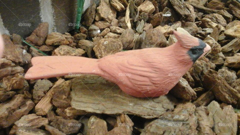 red bird statue