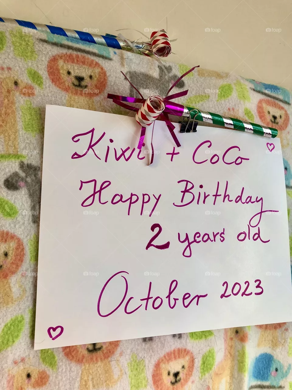 Birthday celebration for our pets / pet birds 