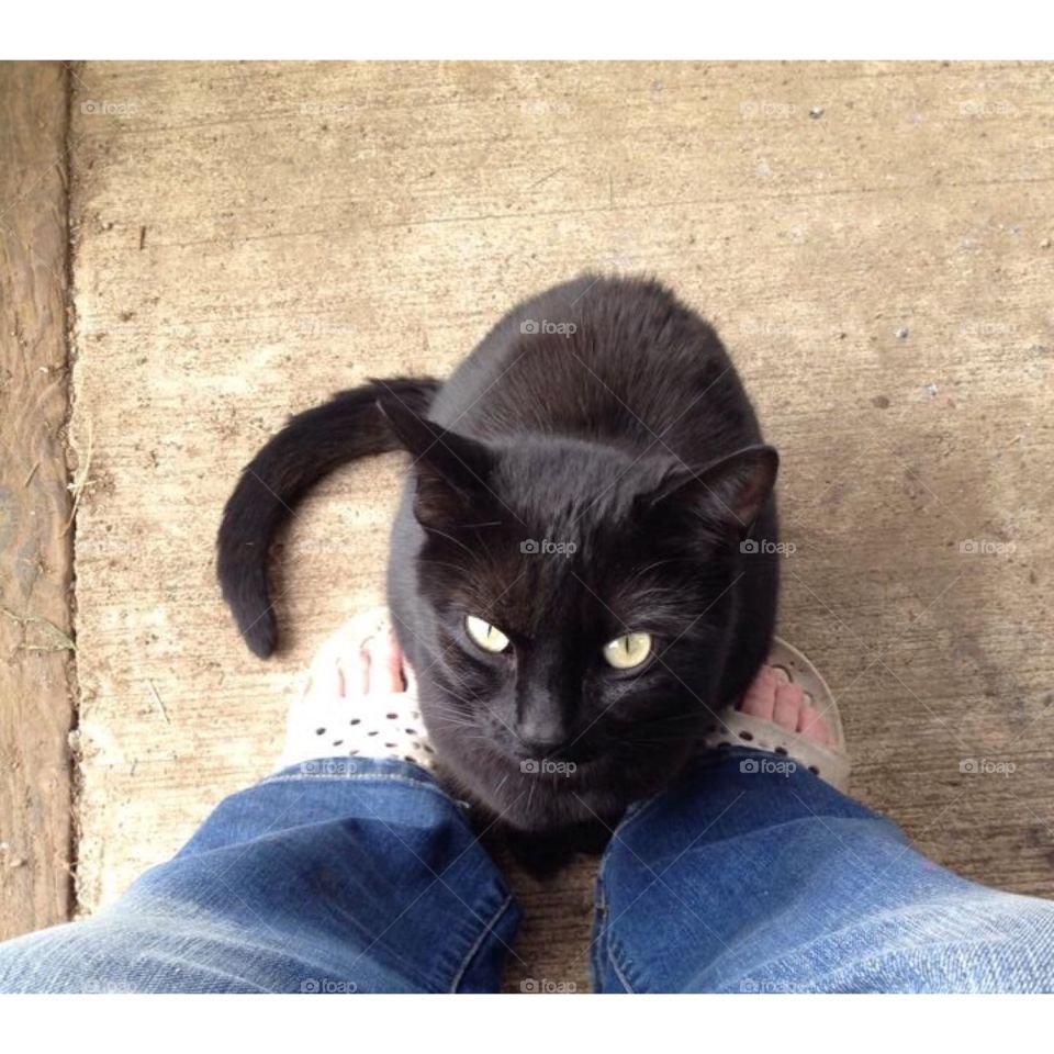 Looking up from where I stand 