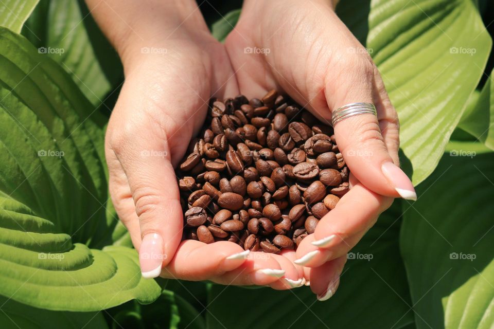 Coffee beans