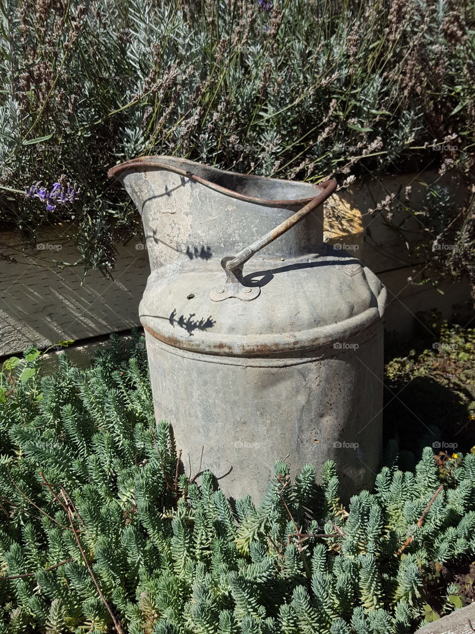 watering can