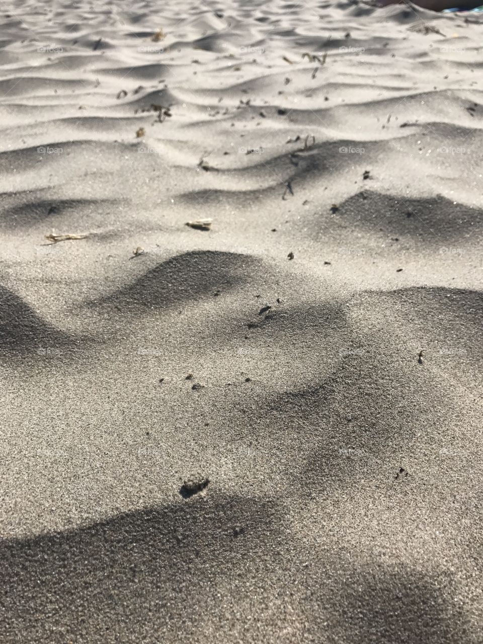 Summer Sand
