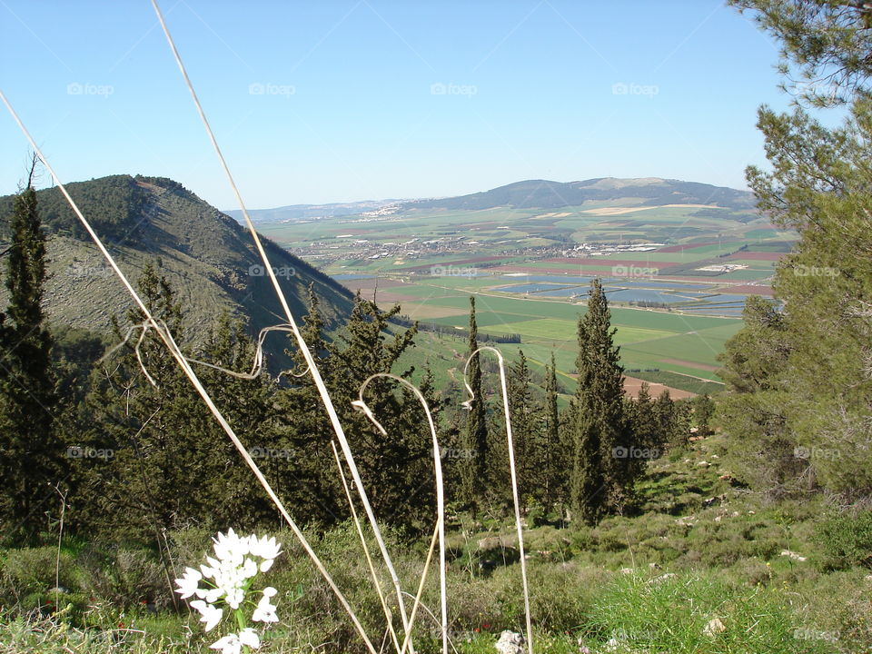 Mt. Gilboa
