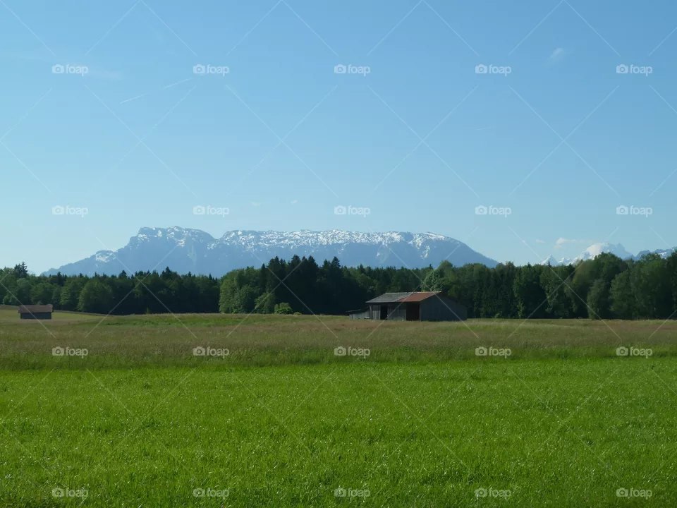 Bergidyll