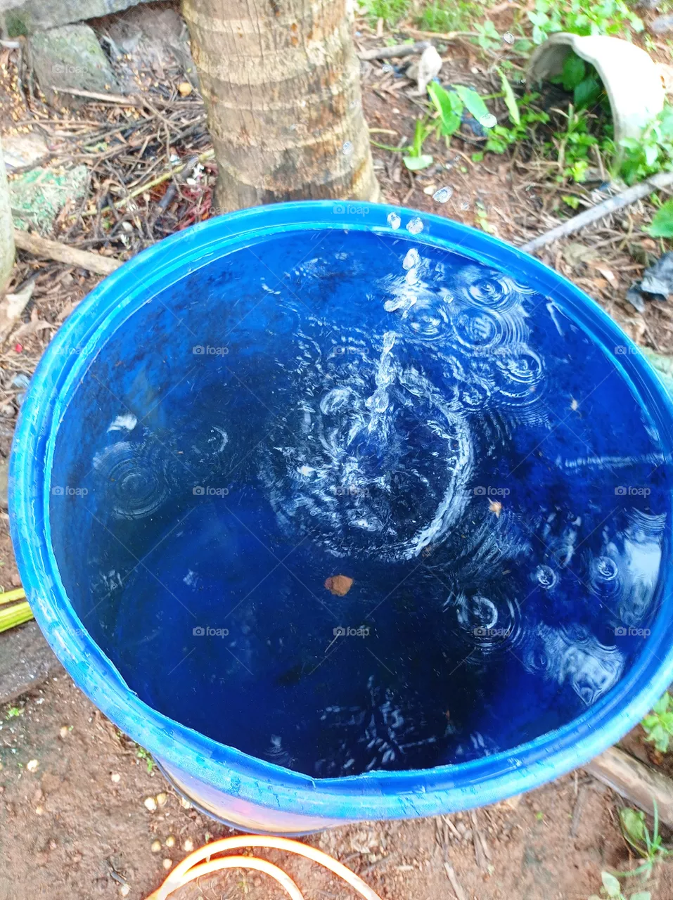 water