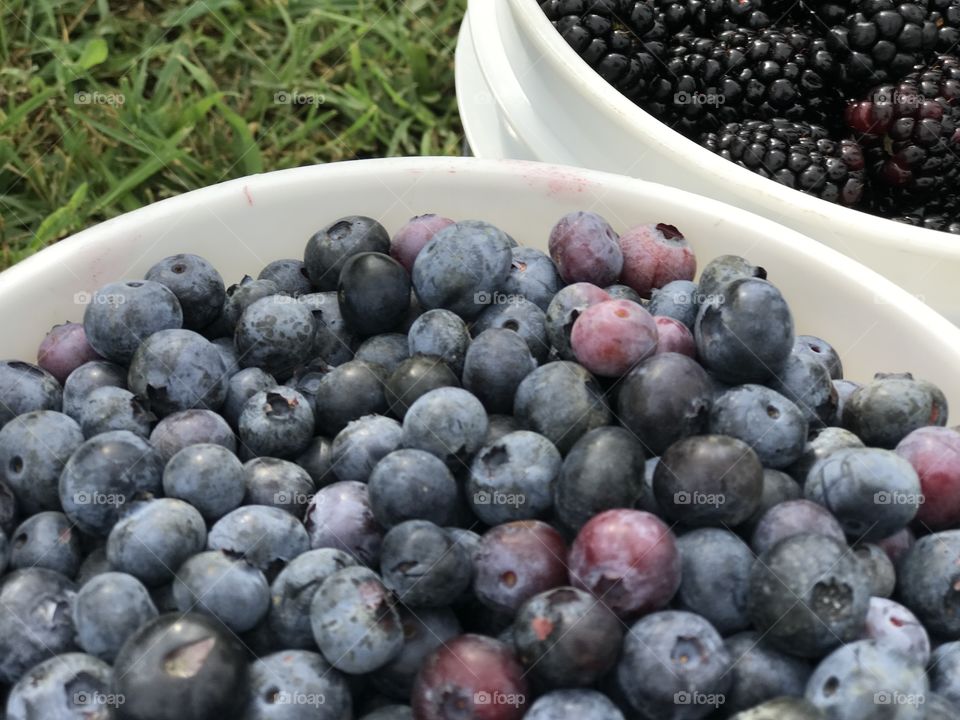 Close-up of blue berries in basket