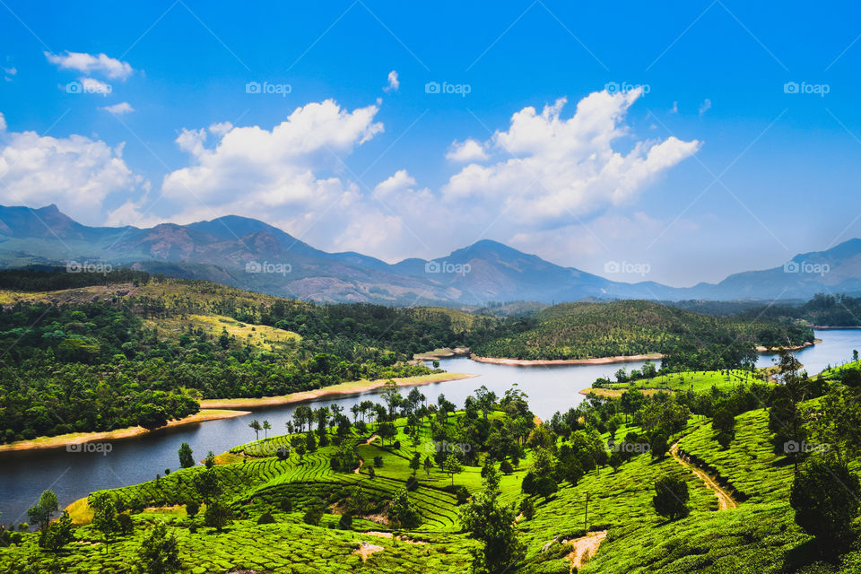 The Beauty of Munnar