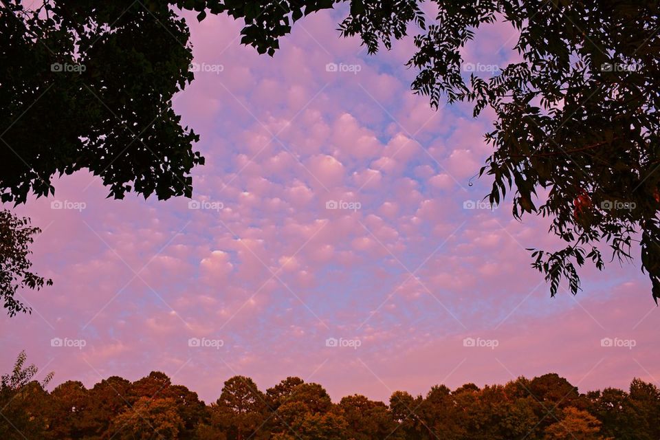 Low angle view of cloudy sky