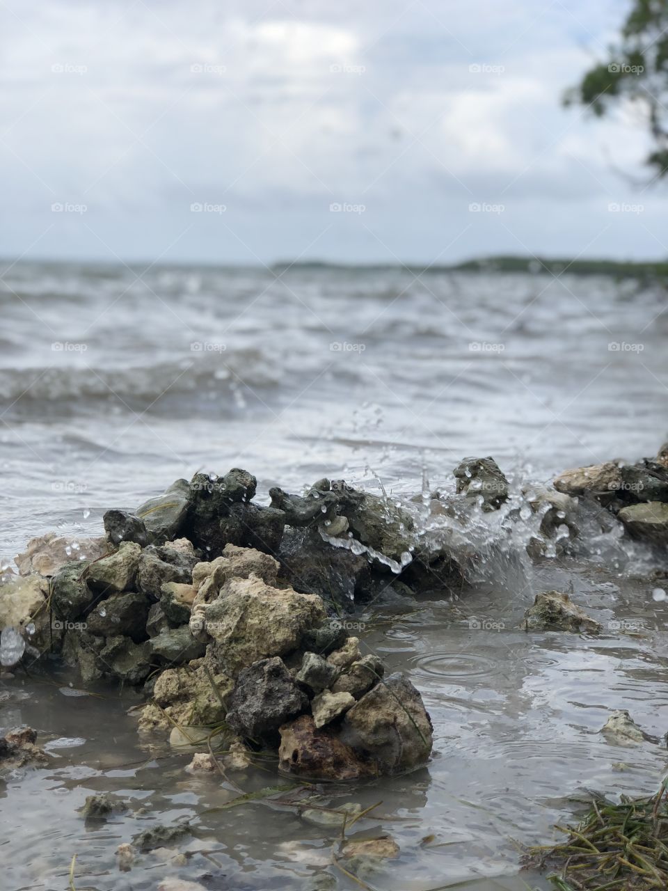 My seawall will keep the waves at bay