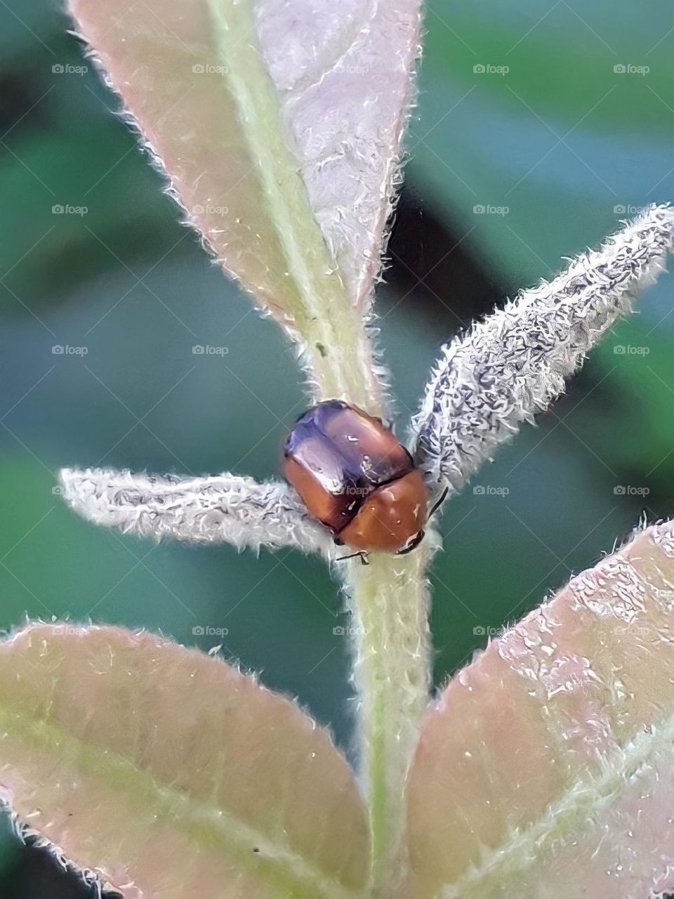 Equilibrio natural!!!
