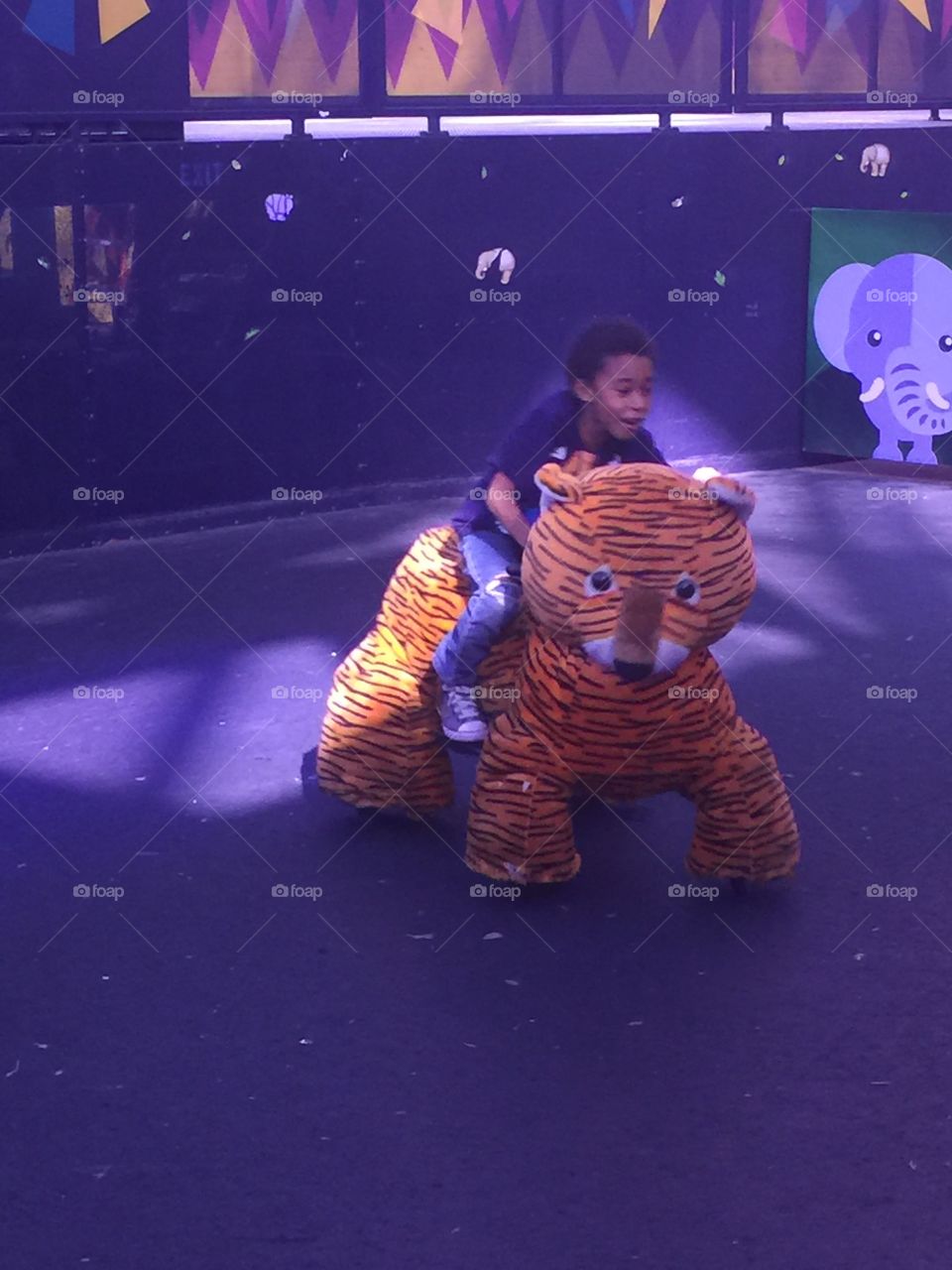 Boy riding a motorized tiger