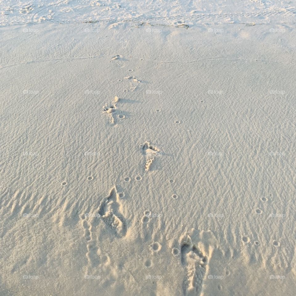 Baby Feet in the Sand on the Emerald Coast