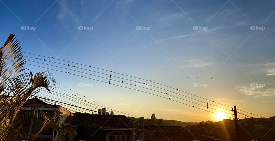 BRAZILIAN MORNING - Os raios de sol iluminam nossa manhã, trazendo-nos energia (vitamina D - e portanto, muito ânimo) aos olhos da passarada nos fios de eletricidade.
Parece que o dia será bom, não?