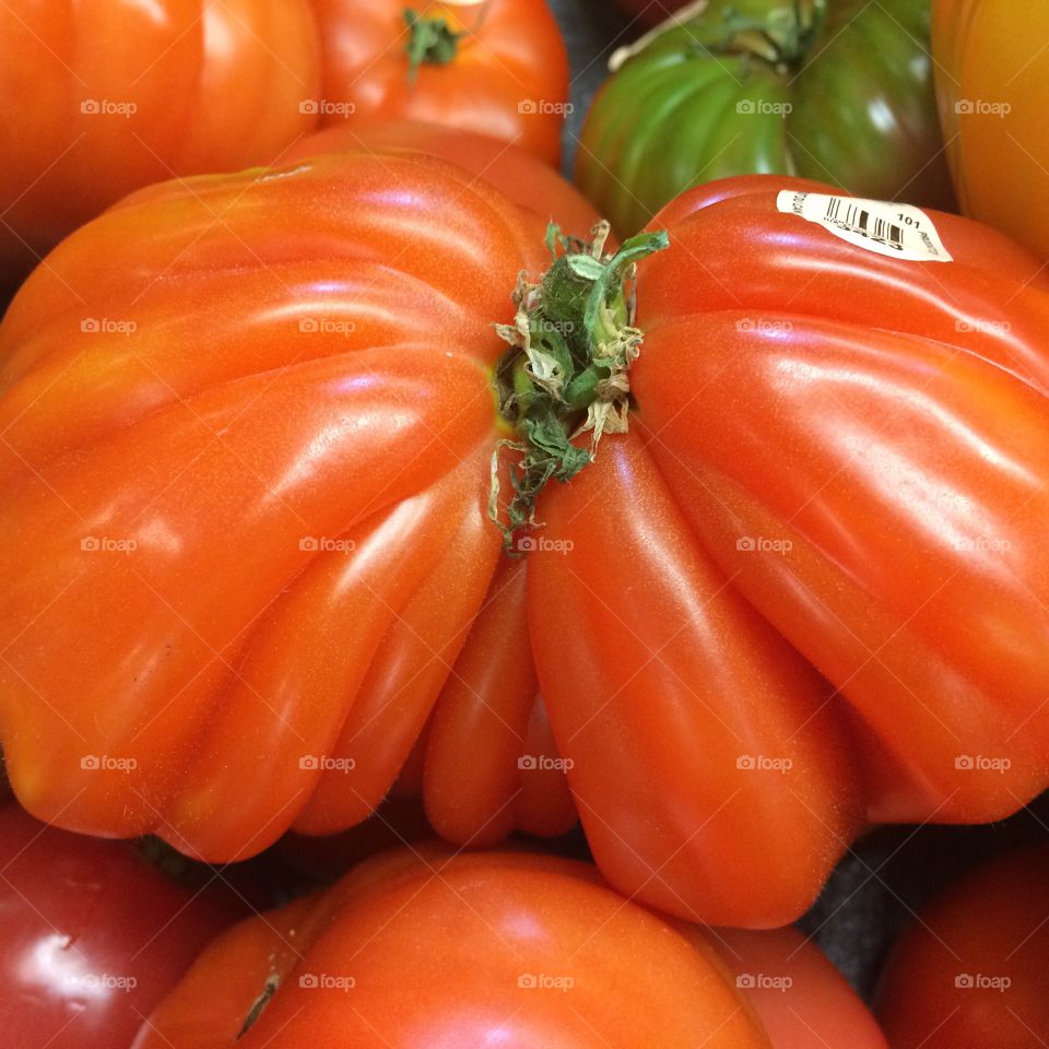 GMO. Tomato