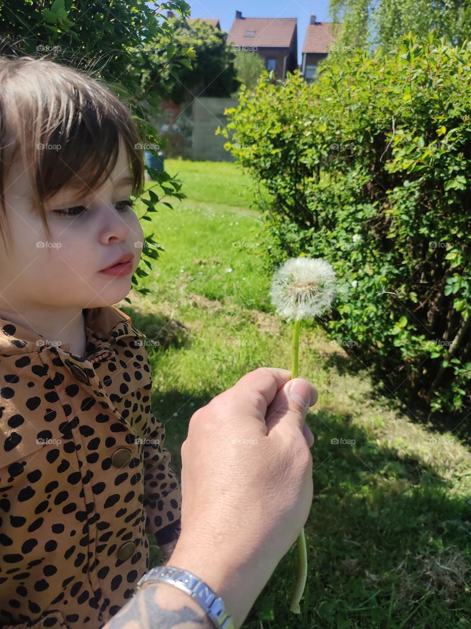 My little girl in the park