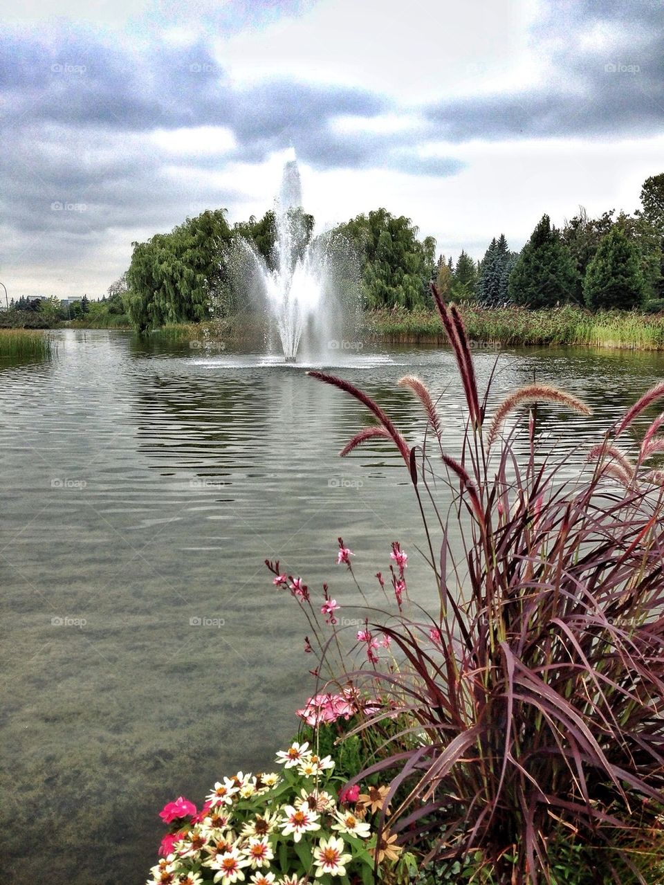 A View of the Fountain