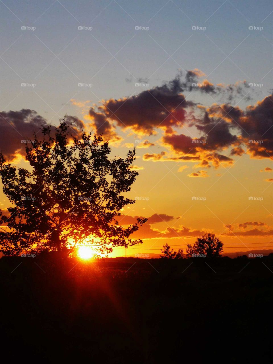 Sunset with trees silhouetted