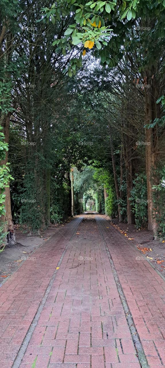 passage vert magnifique