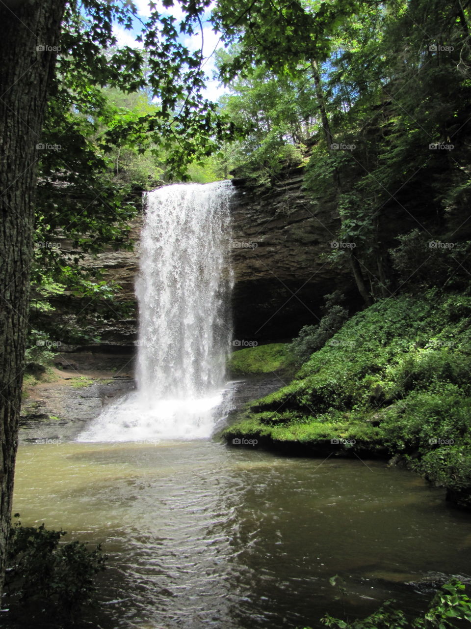Tennessee Waterfall 