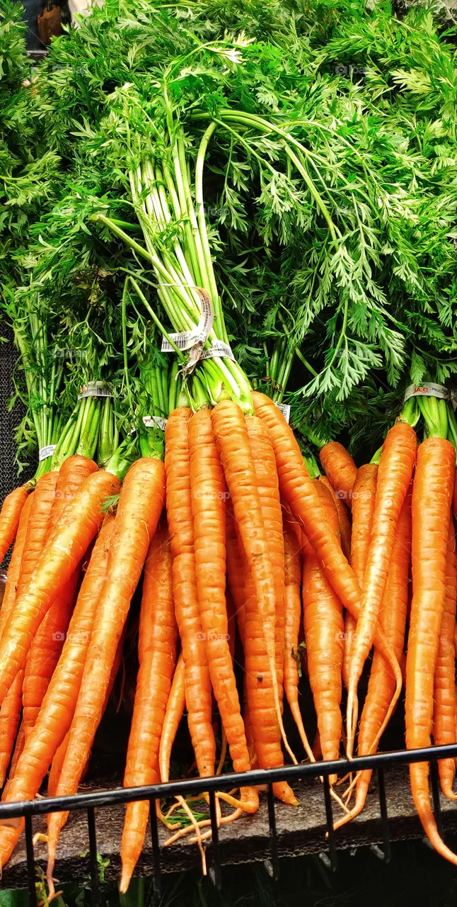 Carrots
