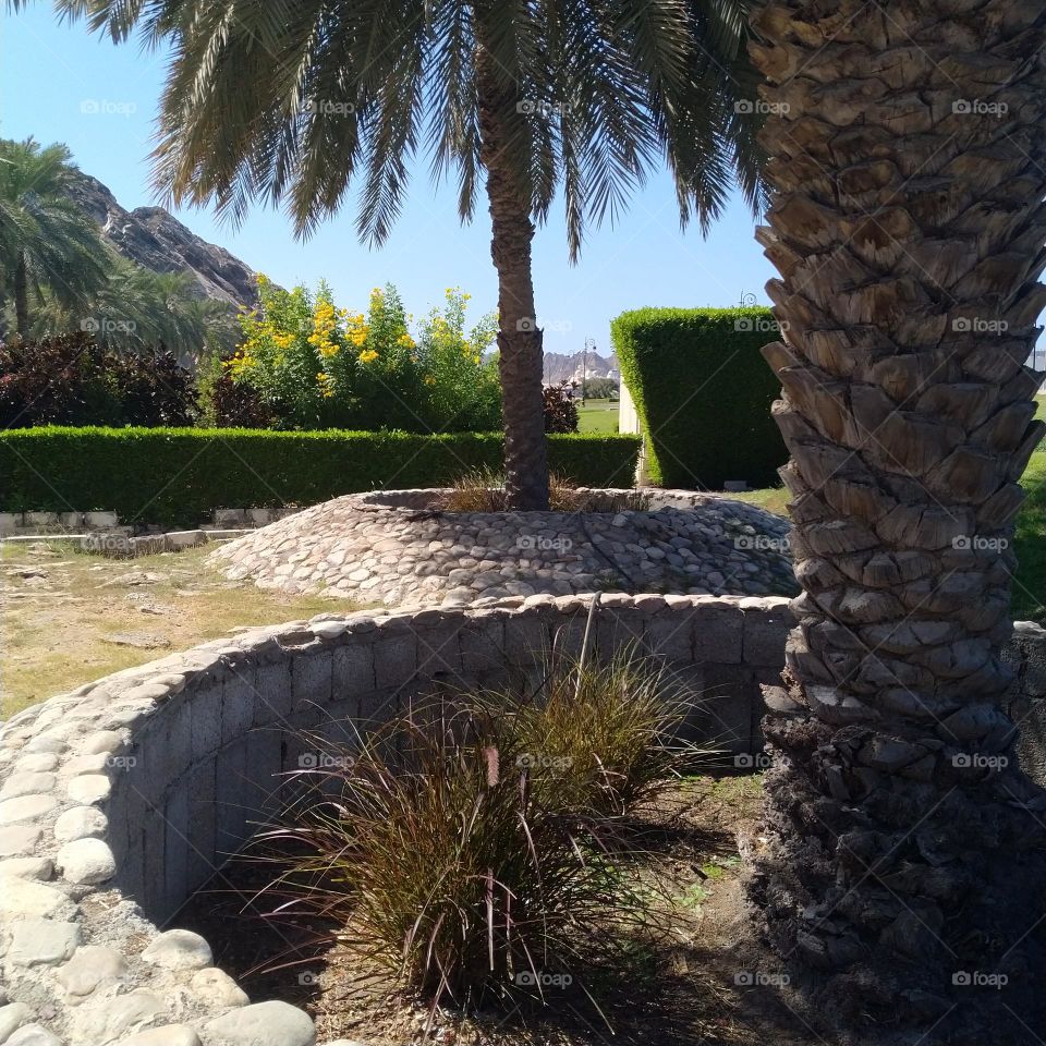 nature, sea side, beach view,