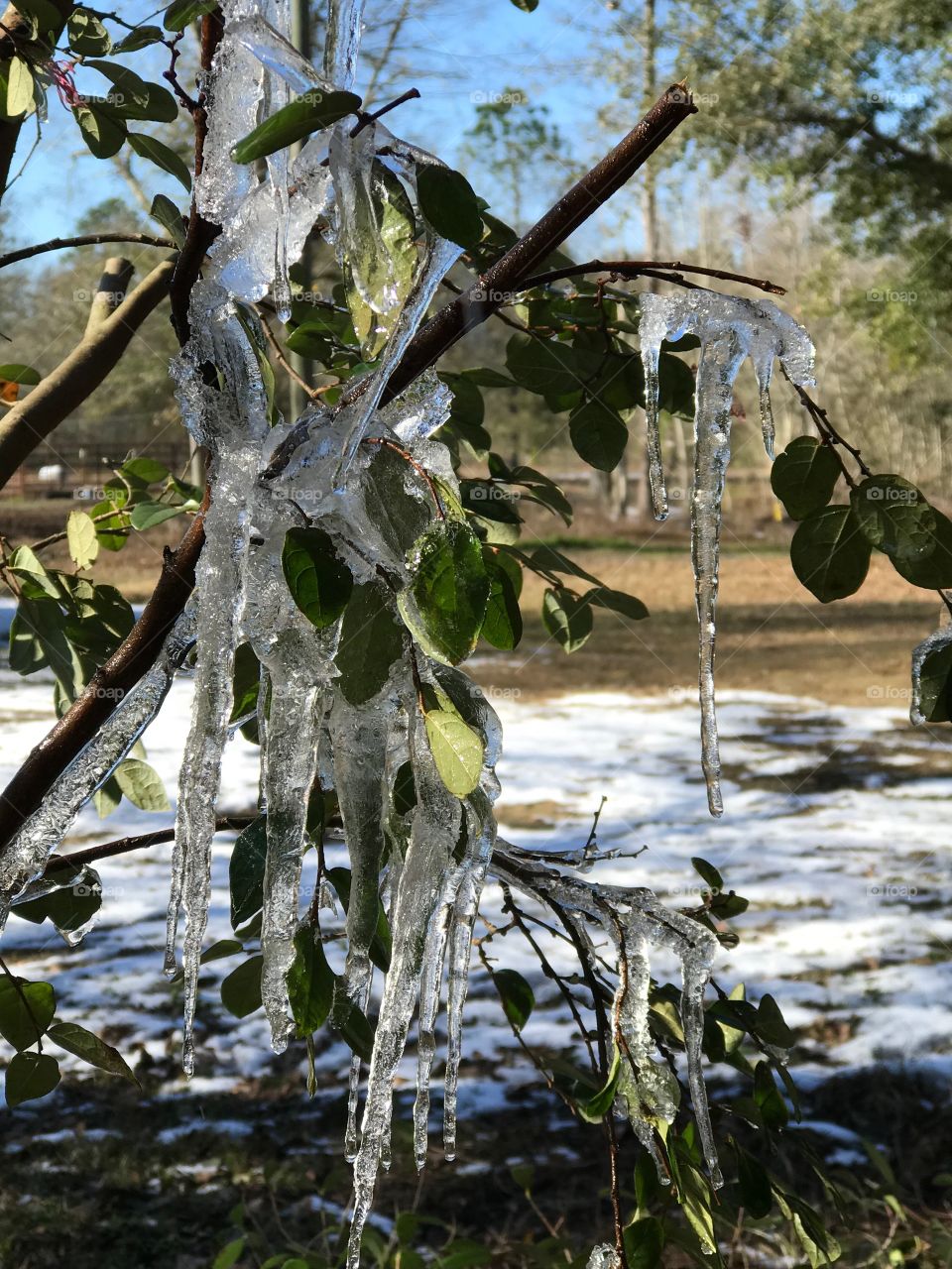 January 2018 frozen South Georgia 