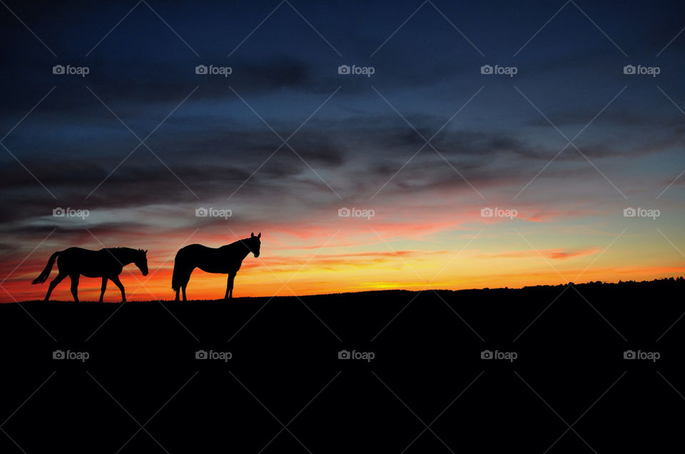 farmland sunset clouds sun by kbuntu