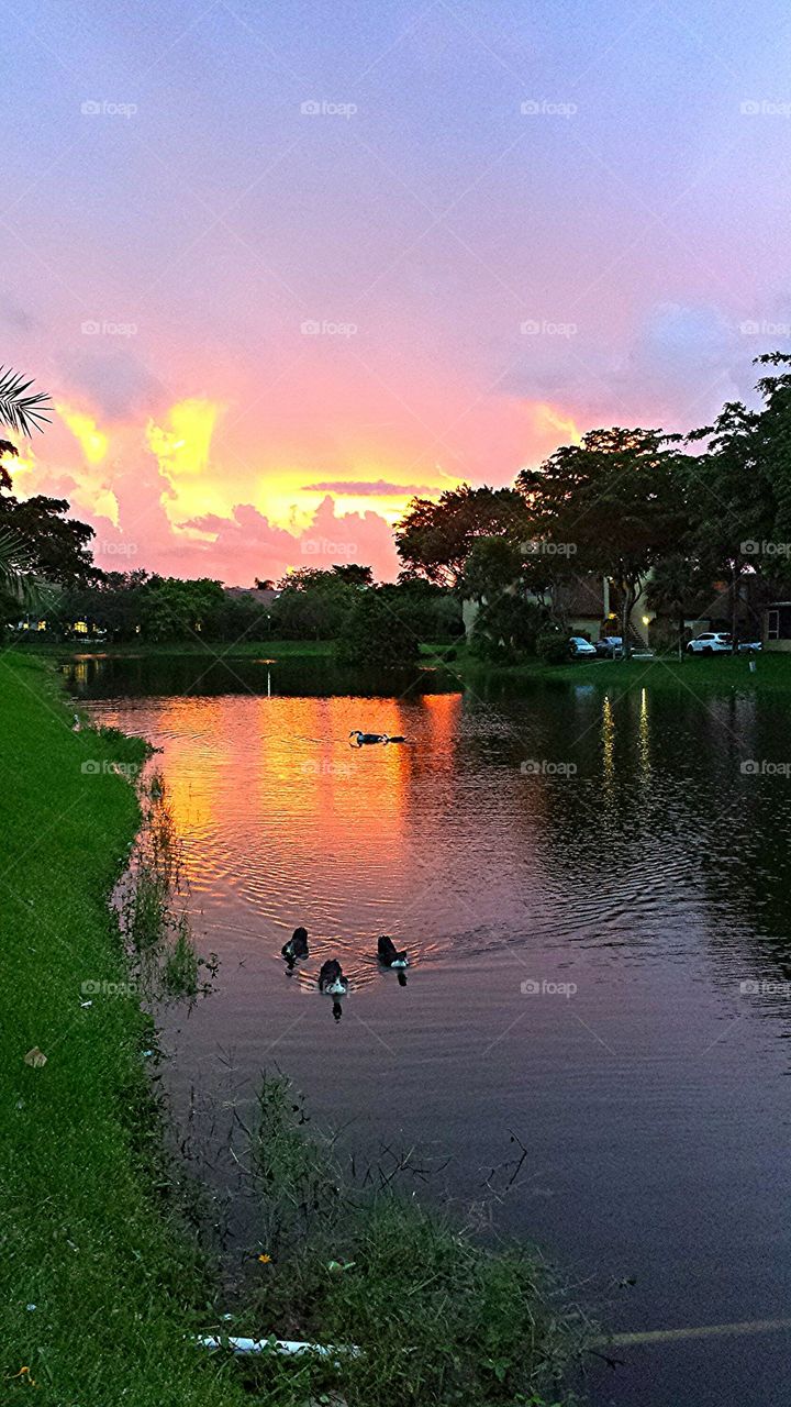 Sunset Florida