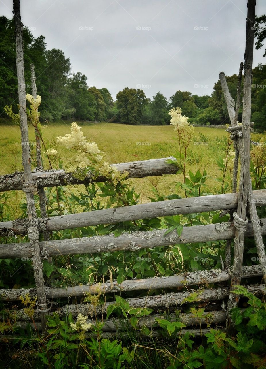 Roundpole fence