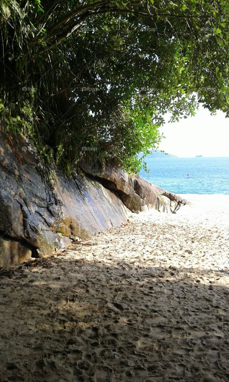 Bela paisagem à beira do mar.