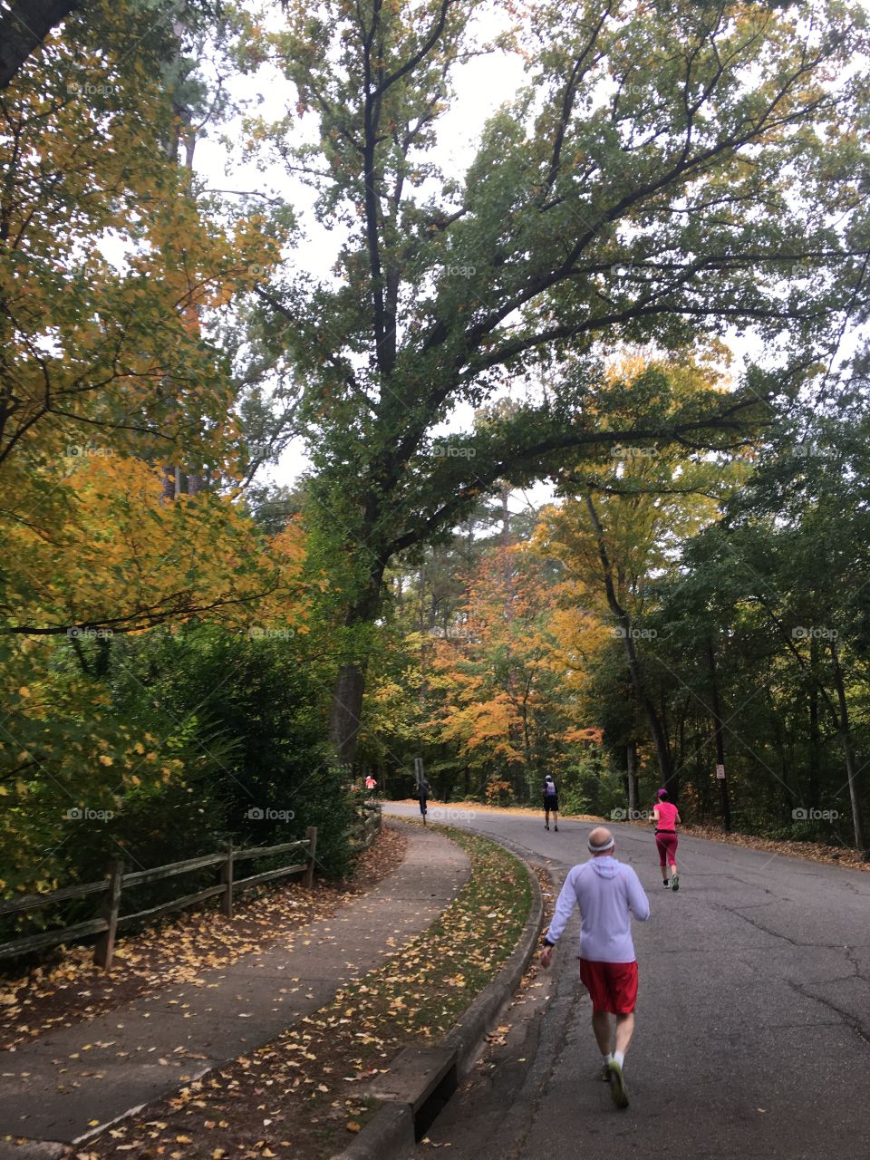 Scenic section during the City of Oaks Half Marathon 