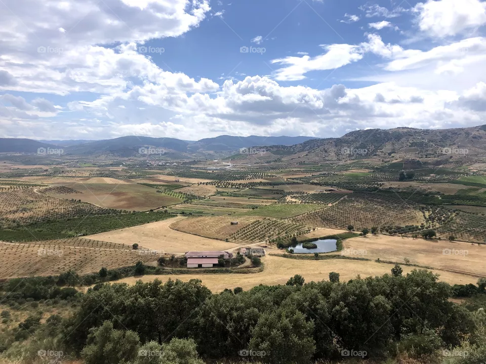 Landscape 