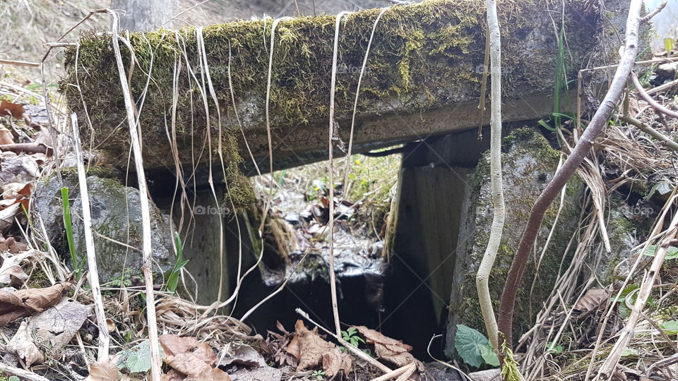 I don't know what to call it, but here it is!