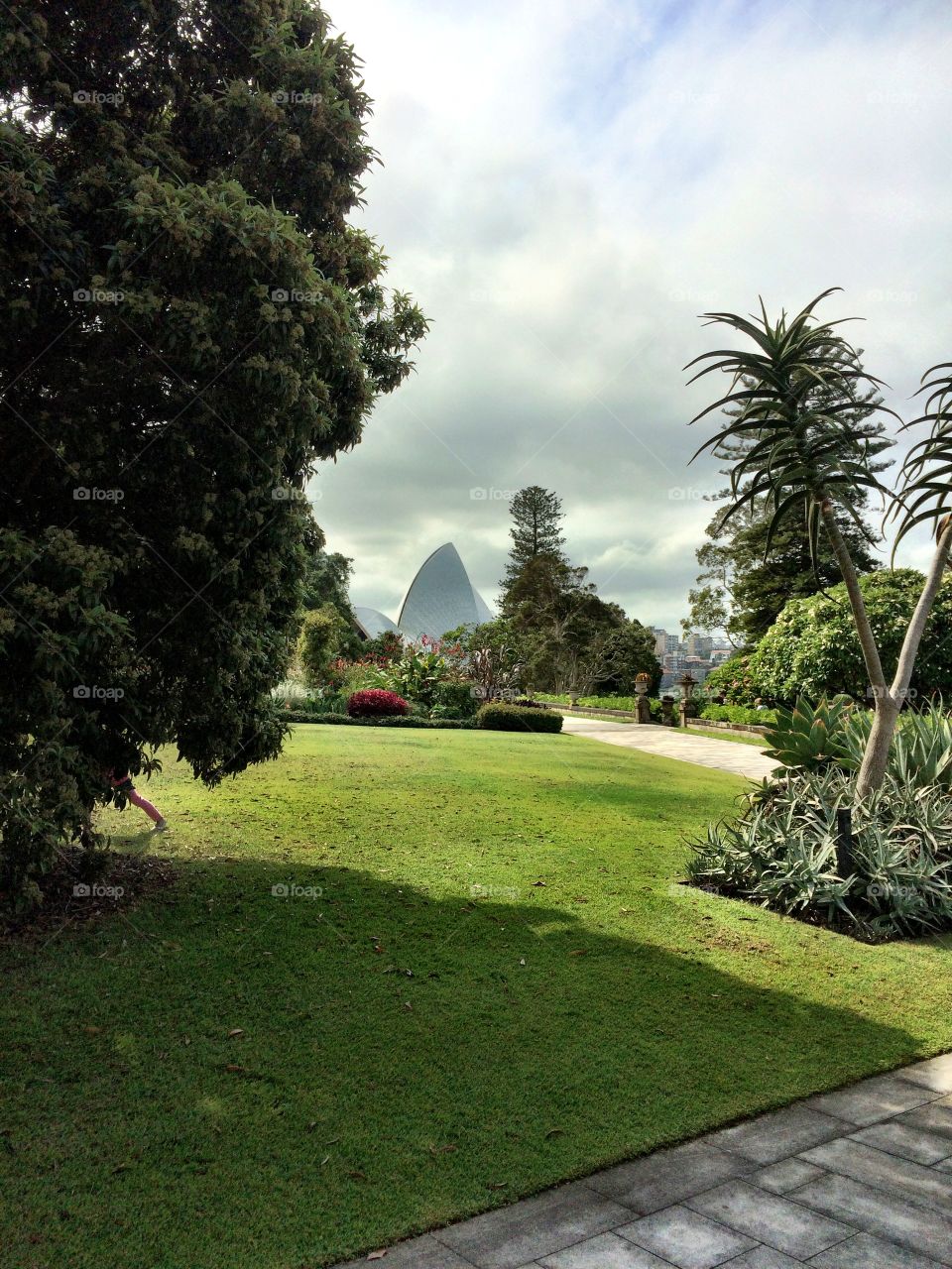 View of opera house from botanical gardens 