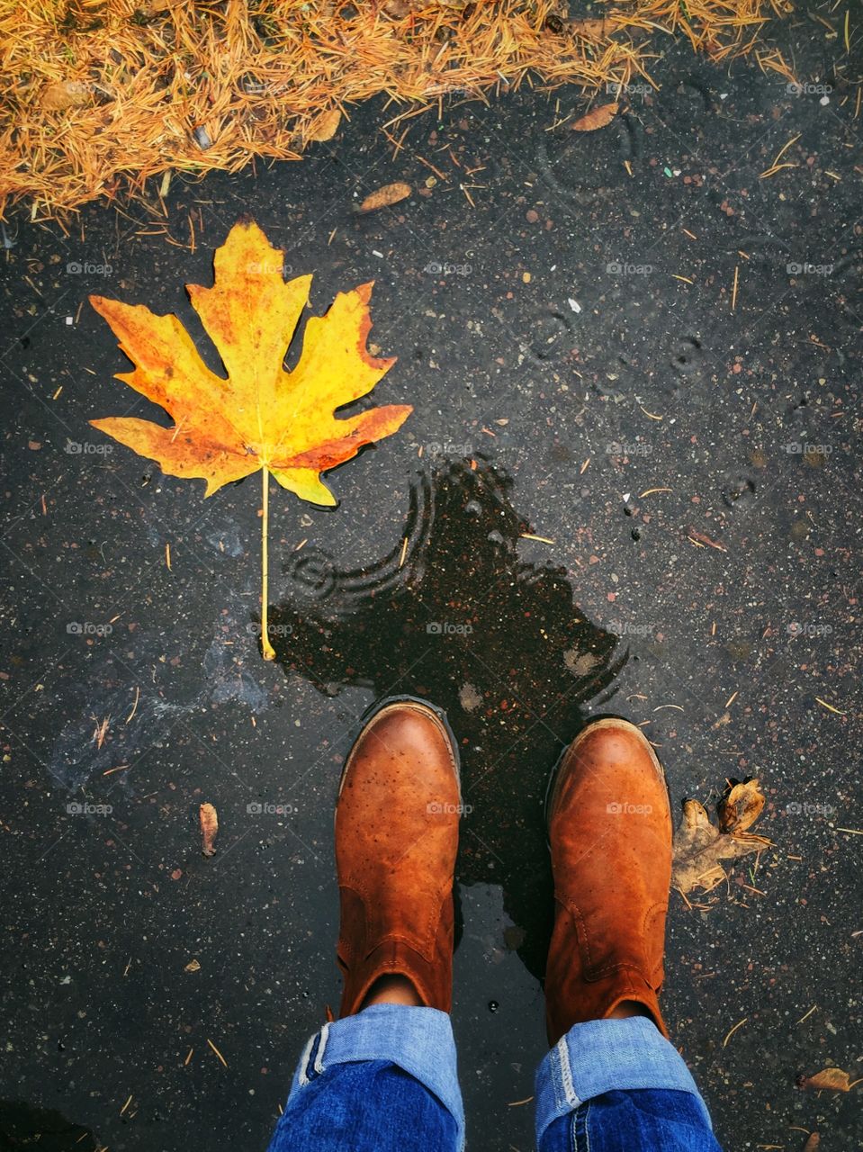 Puddle reflection with fall leaf