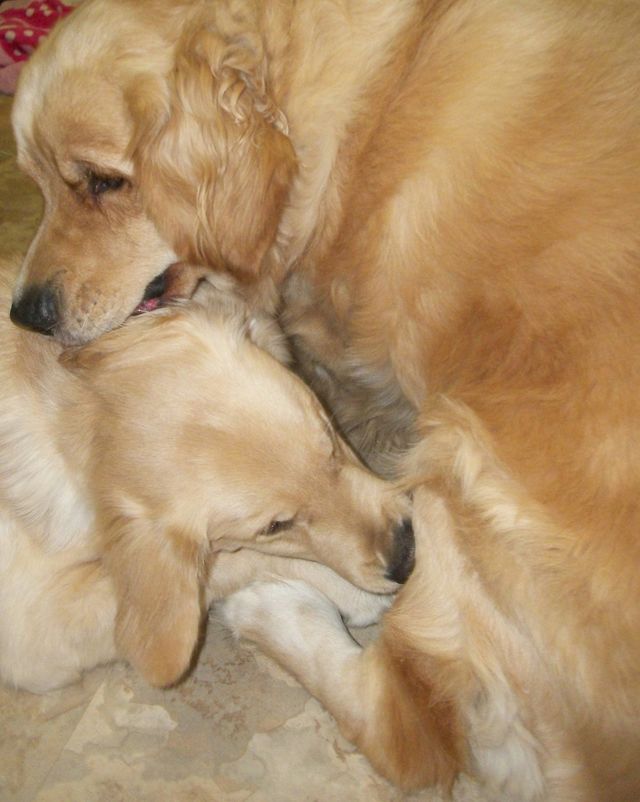 Best Friends