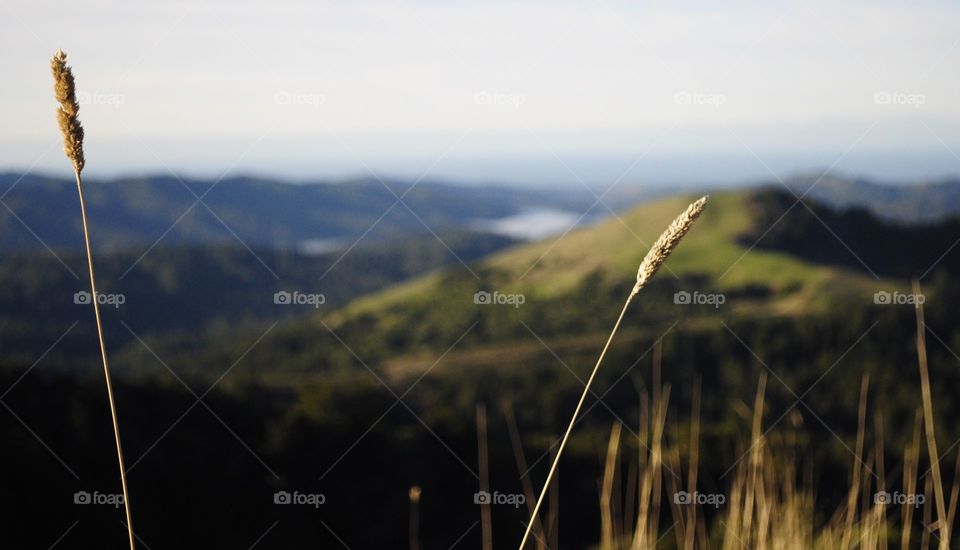 Views from a San Juan hilltop 