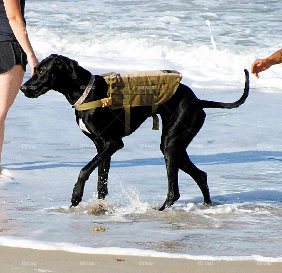 Beach Fun