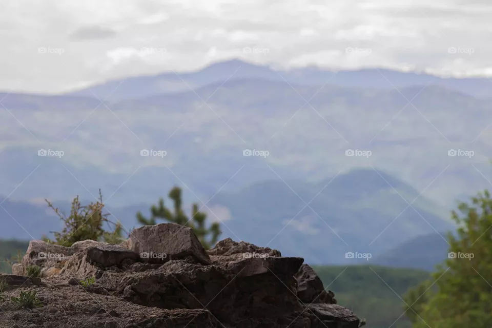 Bulgaria 