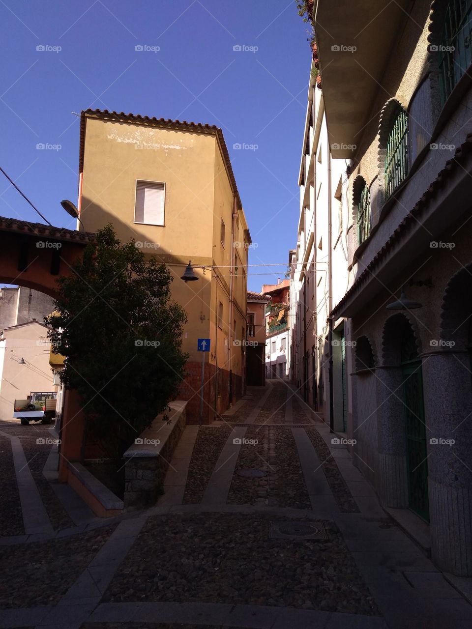 Editors' Choice: Photo of the Week