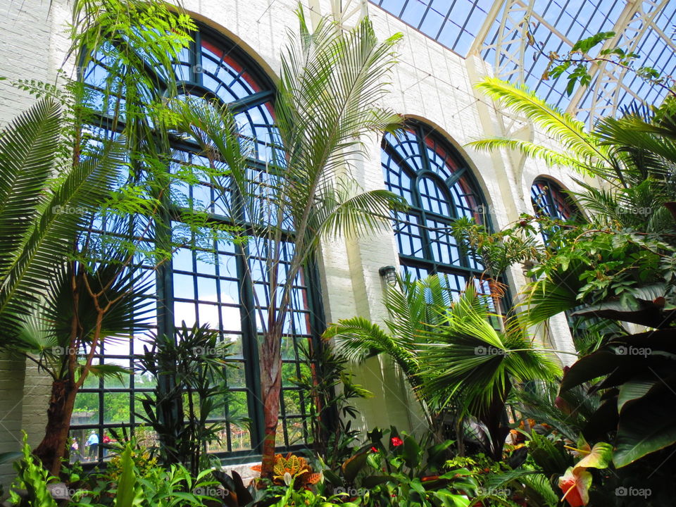 Biltmore. Windows of the wealth...conservatory at the Biltmore Estate