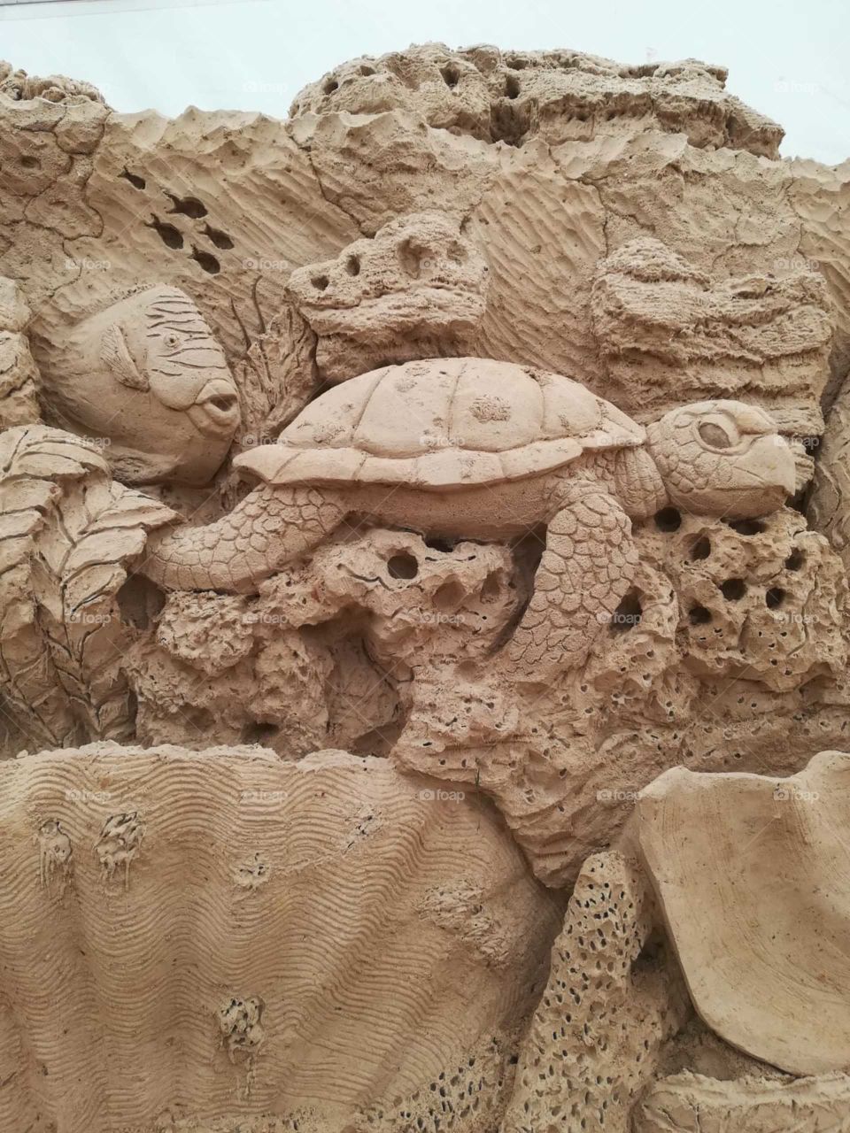 Nur Aus dem Sand und Wasser gebaut. Schildkröte